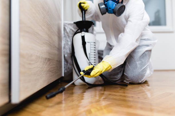Best Pest Prevention Services  in Lliams Bay, WI