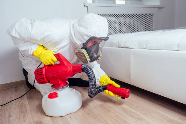 Best Bed Bug Extermination  in Lliams Bay, WI