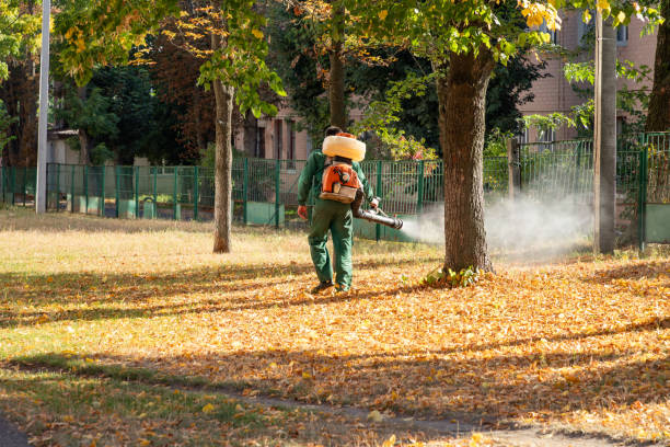Wasp Removal Services in Williams Bay, WI