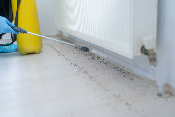 Best Pest Control for Businesses  in Lliams Bay, WI