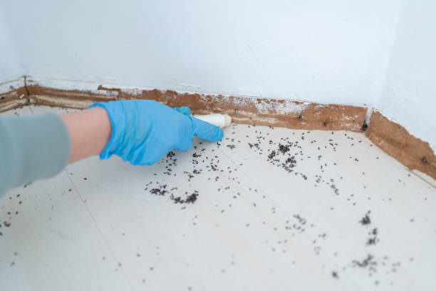 Best Best Pest Control Companies  in Lliams Bay, WI