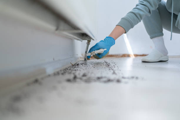 Wildlife Control Services in Williams Bay, WI