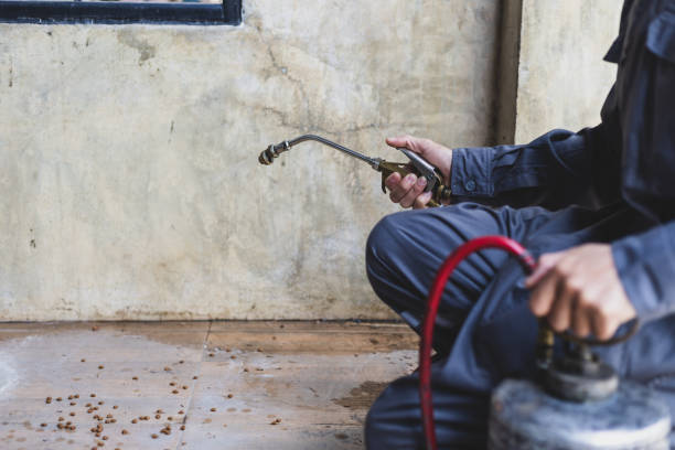 Best Residential Pest Control  in Lliams Bay, WI